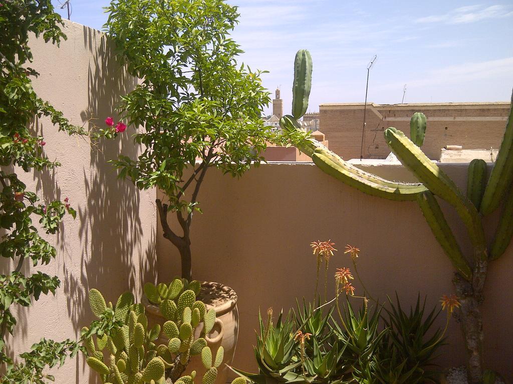 Riad Irene Marrakesch Exterior foto