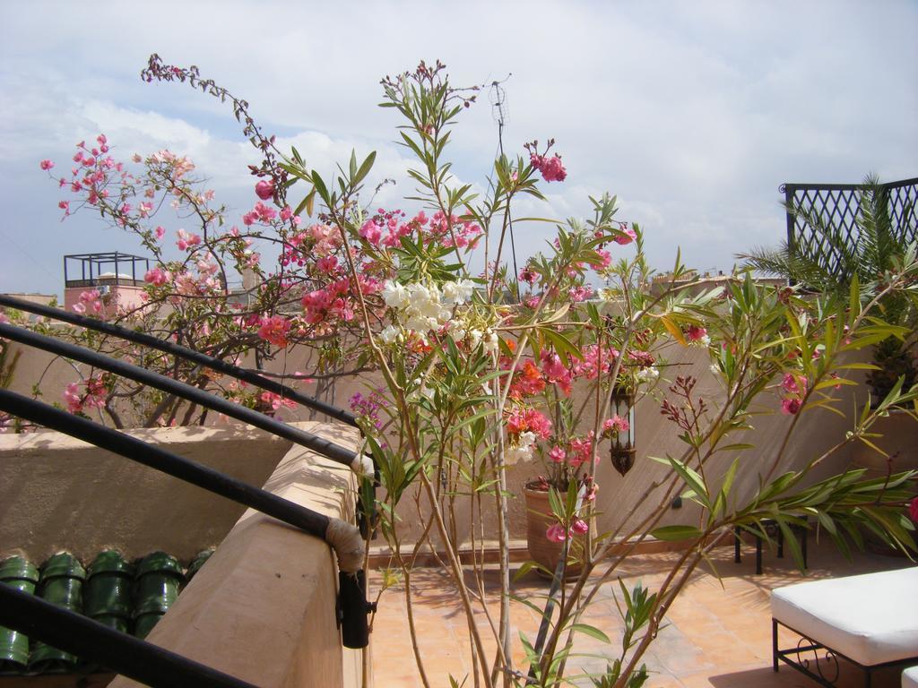 Riad Irene Marrakesch Exterior foto