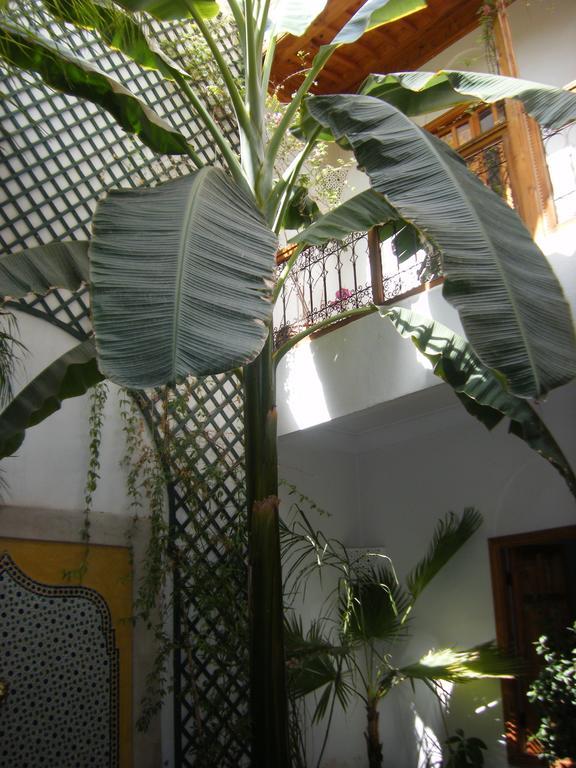 Riad Irene Marrakesch Exterior foto